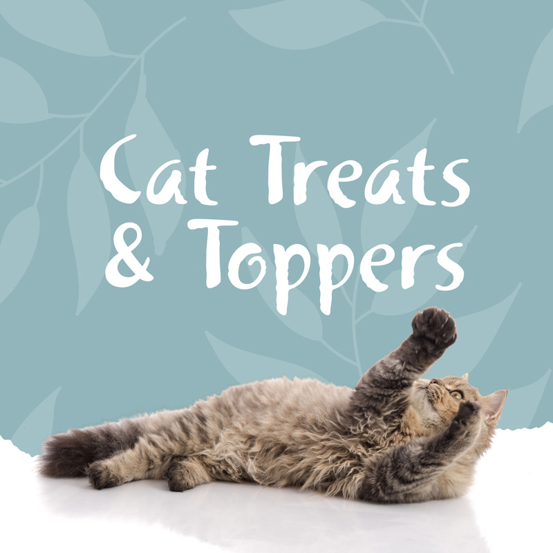 Cat Treats & Toppers