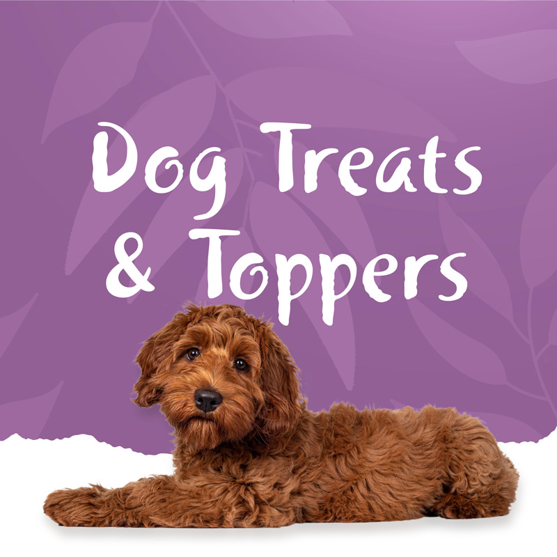 Dog Treats & Toppers